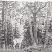 (© Johanna Kiivaskoski)